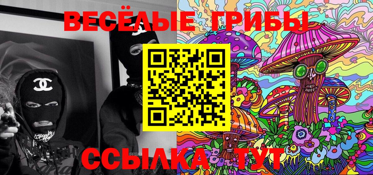 Галлюциногенные грибы Psilocybine cubensis  Вход с VPN  Димитровград 