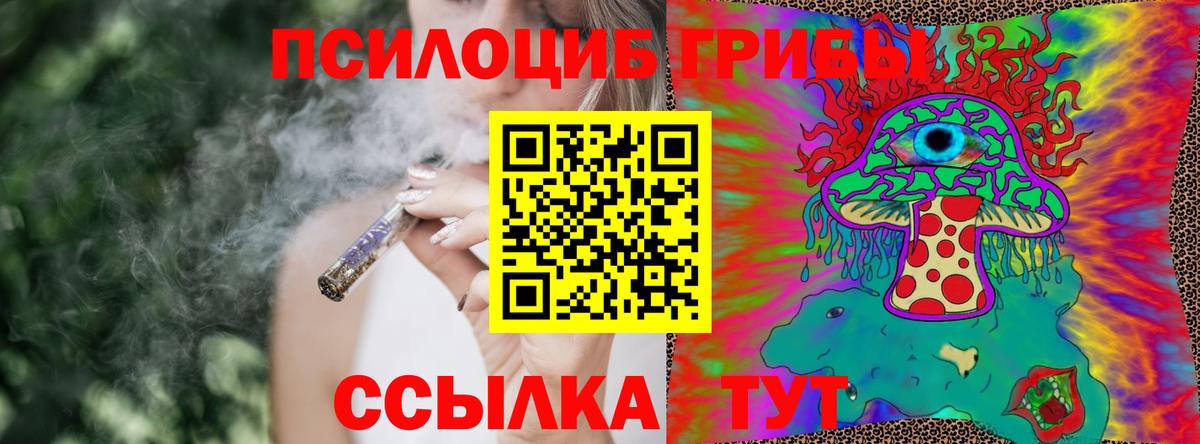 Галлюциногенные грибы прущие грибы Димитровград